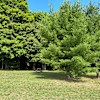 Drive Up Site #6