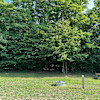 Drive Up Site #10