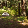 Redwood Tent Site 4