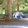 Site 1 - Cozy Creek Camp