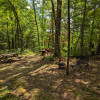 Site 8 - Bob Lake Rustic Wooded
