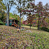 Pollinator Tiny Cabin+Hot tub Sauna