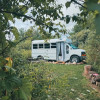 Converted School Bus in Nature