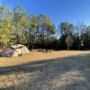 Forrest site 1