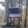 Treehouse in the Pines