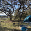 Among the Oaks Primitive Camping