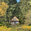 Conifer Cabin