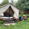 Bell tent in the redwoods 