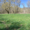 Site 2 - Dry Creek View