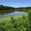 Large tract w/ four ponds