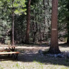 Campsite 2 - Across the Meadow