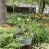 Guide's Camp: lakefront log cabin