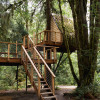 Spruce Treehouse