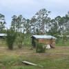 Tenting at Earthperks Farm