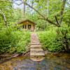 Fern Gulley (Riverside Canvas Tent)