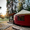 Luxury Yurt