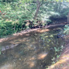 Creek side primitive campsite GSMNP