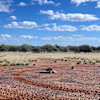 Ridge Paddock Lookout