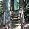 Treehouse 