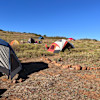 Hippie Hill Campsite