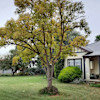 Pepperton Homestead Country Escape