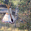 Spring Creek Tipi