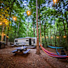 Private Forest Camper Retreat