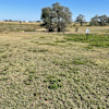 Tent site at Borntrager Dairy