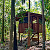 Creek Side Hut