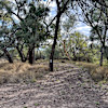 River Site 1
