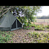 wild garden yurt 