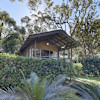 Palm Treehouse