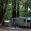 Campsite 1 with Orchard View