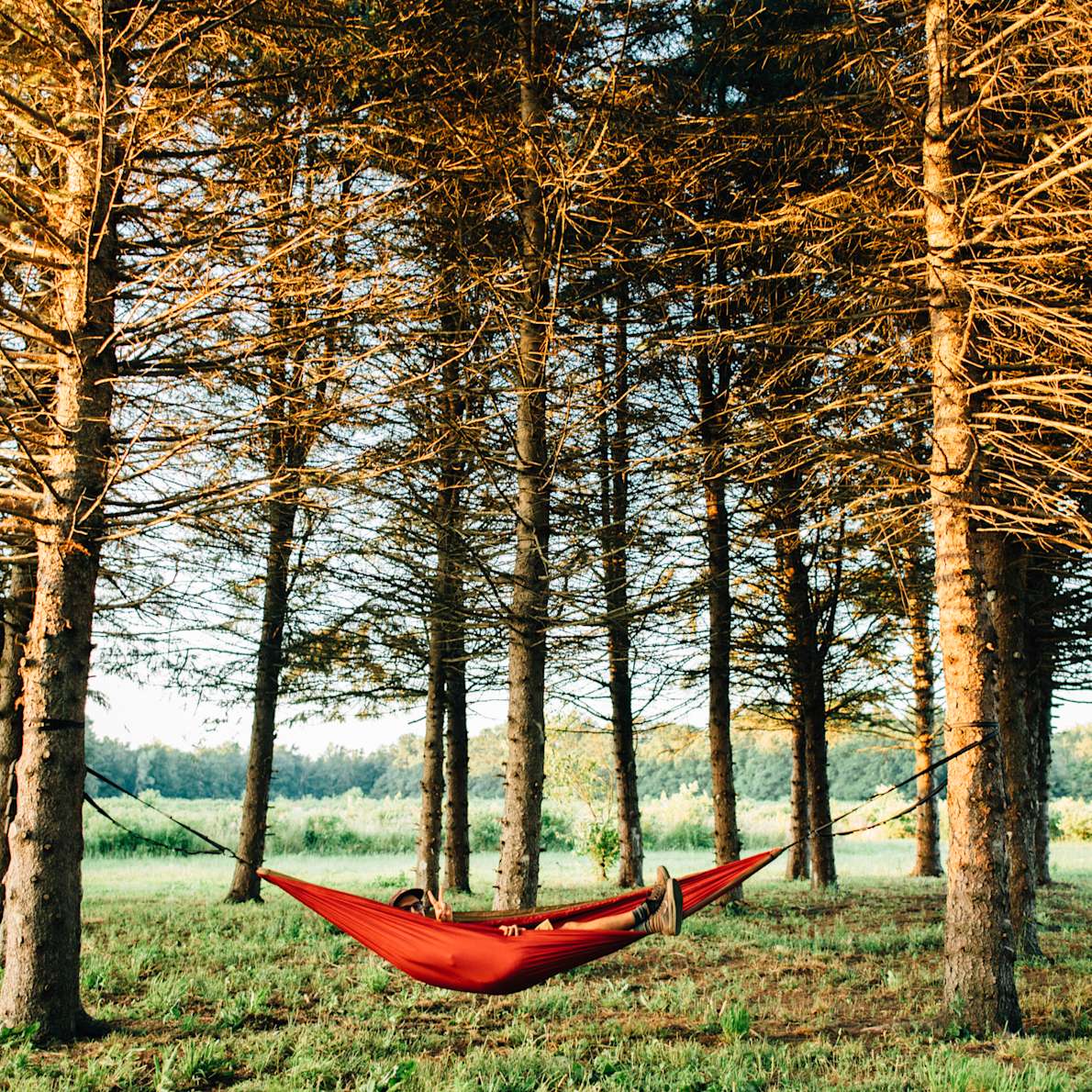 Hipcamp Host