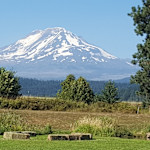 Hipcamp host Treebird O.,