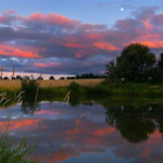 Hipcamp host Dairy Creek S.,