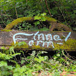Hipcamp host Finney F.