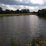 Hipcamp host Rayburn R.,