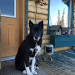 Hipcamp host Kyia B.,