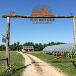 Hipcamp host Shady Grove F.