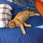 Hipcamp host Boone B.,