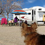 Hipcamp host Wayne H.,