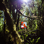 Hipcamp host Cedar + Fern C.,