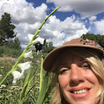 Hipcamper Jennifer