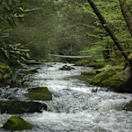 Hipcamp host Round Stone C.,