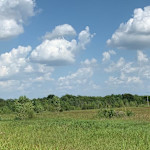 Hipcamp host Outdoor Access V.,