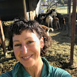 Hipcamper Deborah
