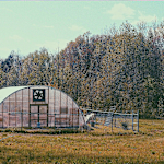 Hipcamp host Maypop Farmstead *.,