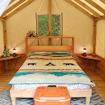 Hipcamp host Treetopia Campground L.,
