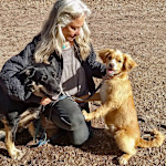 Hipcamp host Beth Augusta Behr M.,